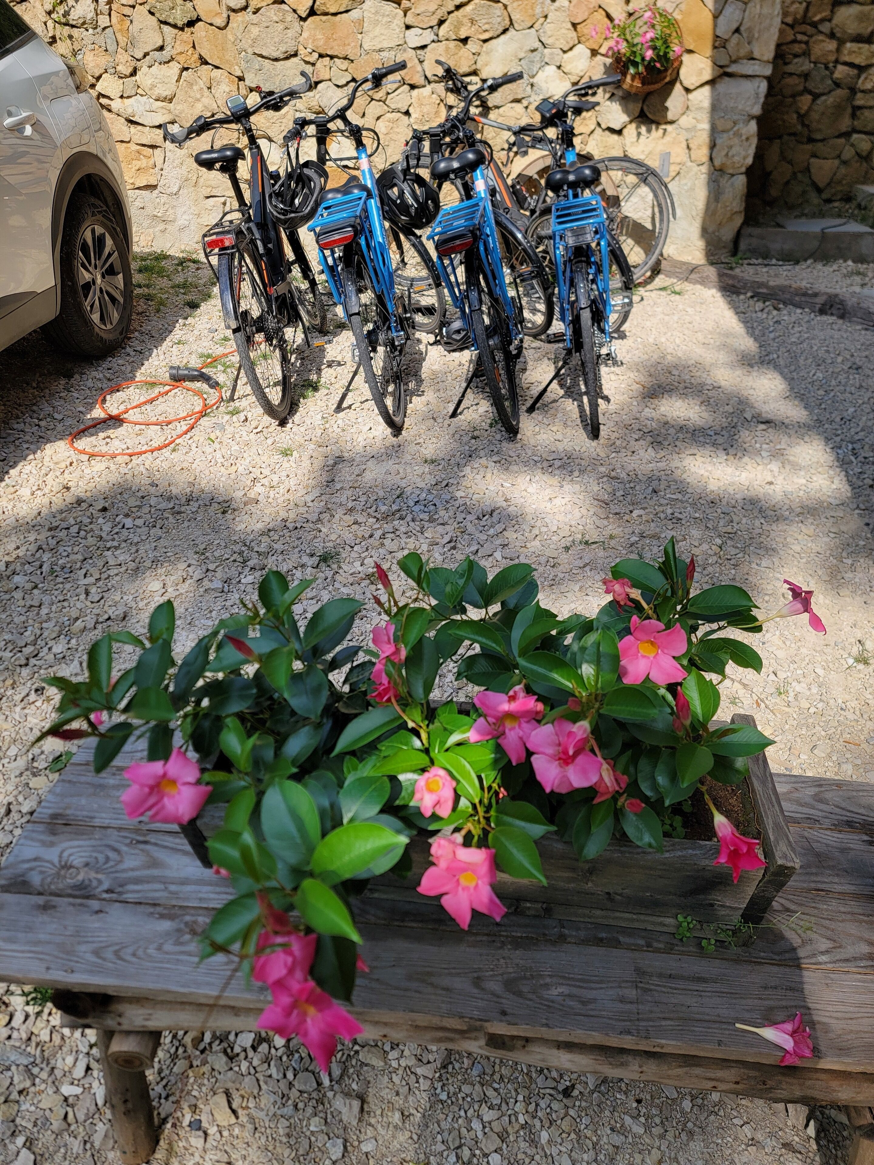 Un camino de grava con un banco de madera y una jardinera con flores rosadas. Varias bicicletas están estacionadas contra un muro de piedra.