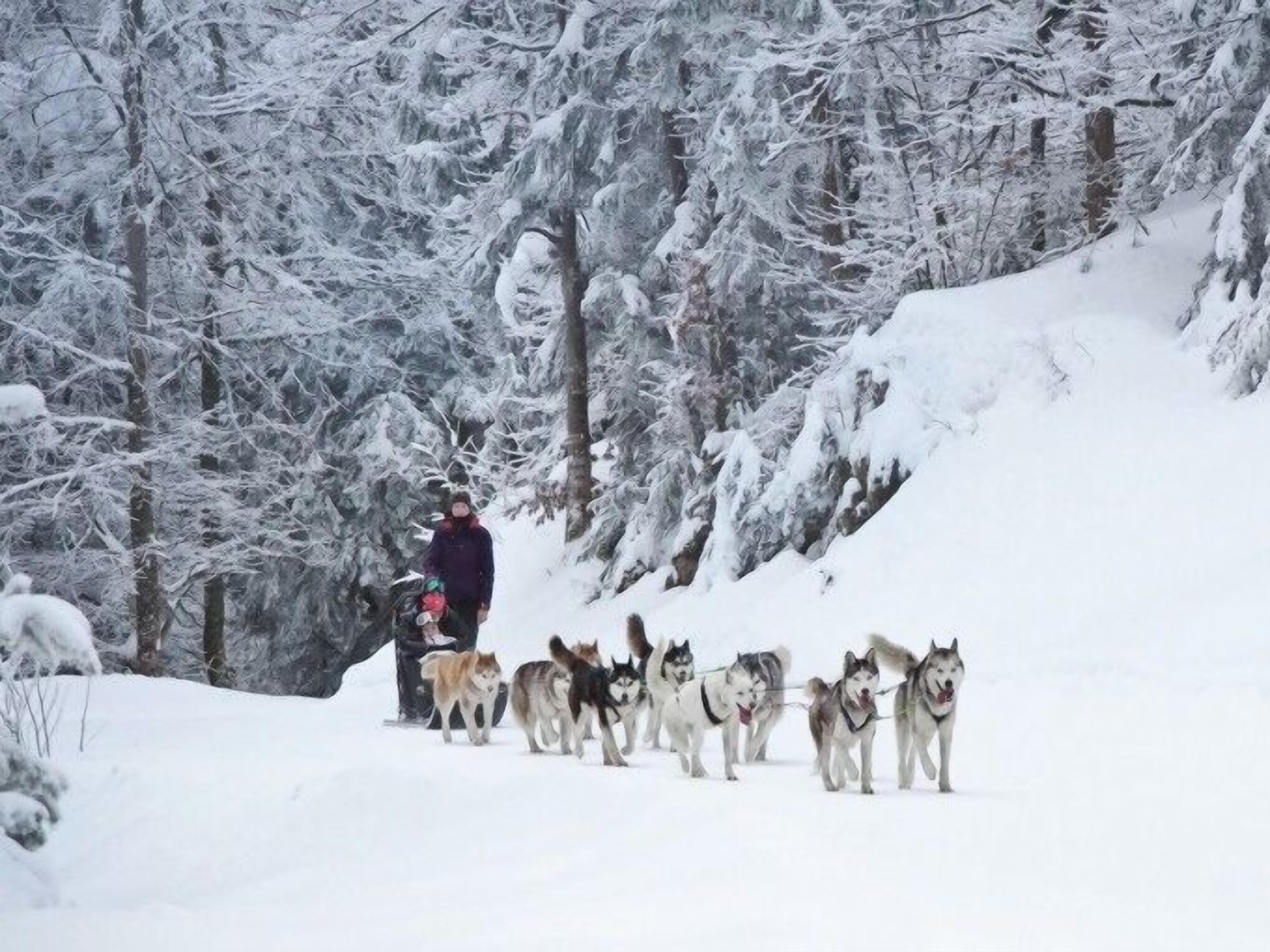 Sneeuwschoenwandelen
