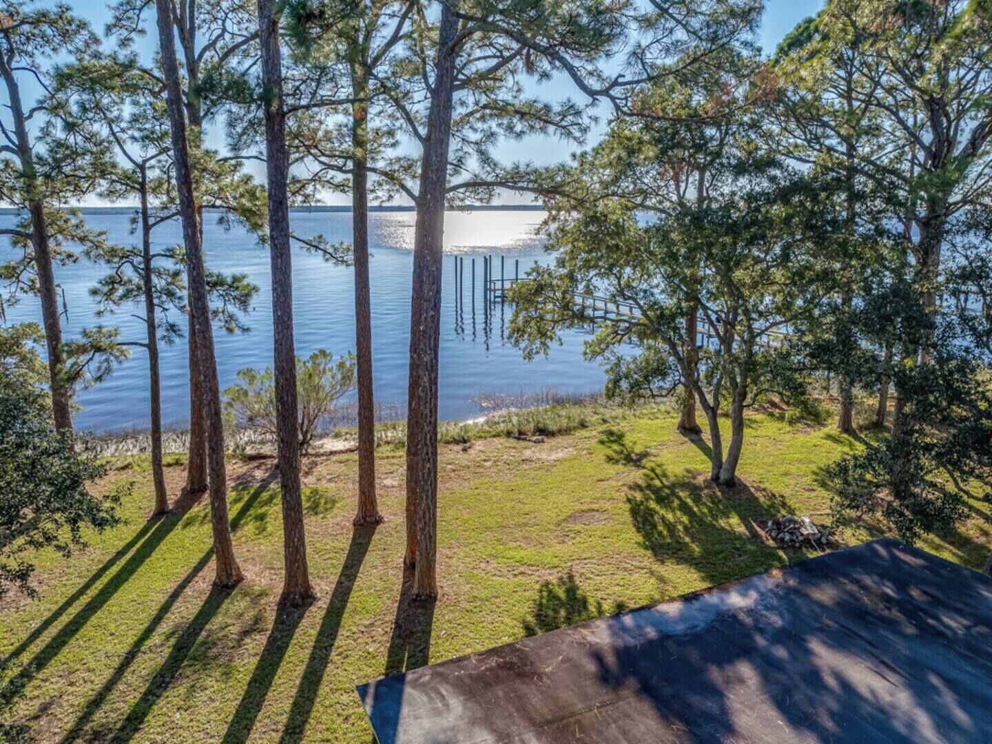 A view of a lake with tall trees and a grassy area in the foreground.