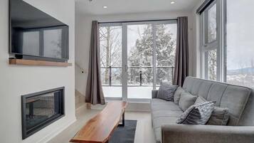 Smart TV, fireplace, books, stereo