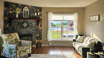 Smart TV, fireplace, books