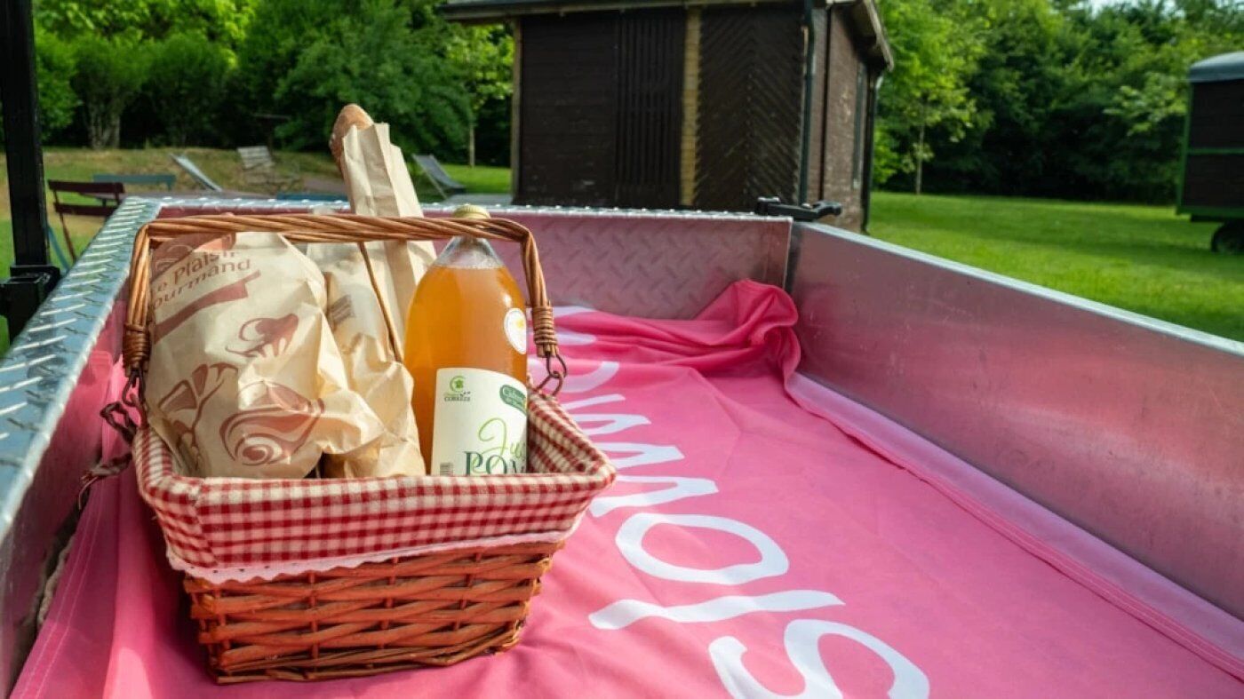 A picnic basket with food and drinks on a pink blanket in a vehicle.