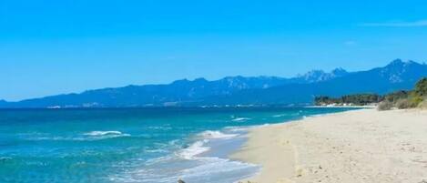 Plage, chaises longues, serviettes de plage