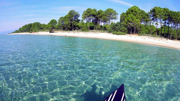A clear view of a beach with a sandy shore and a line of trees in the background. - Magnifique Appartement  VUE MER et MONTAGNES (Ghisonaccia)