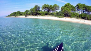 A clear view of a beach with a sandy shore and a line of trees in the background. - Magnifique Appartement  VUE MER et MONTAGNES (Ghisonaccia)