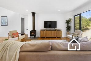 Smart TV, fireplace, computer monitors