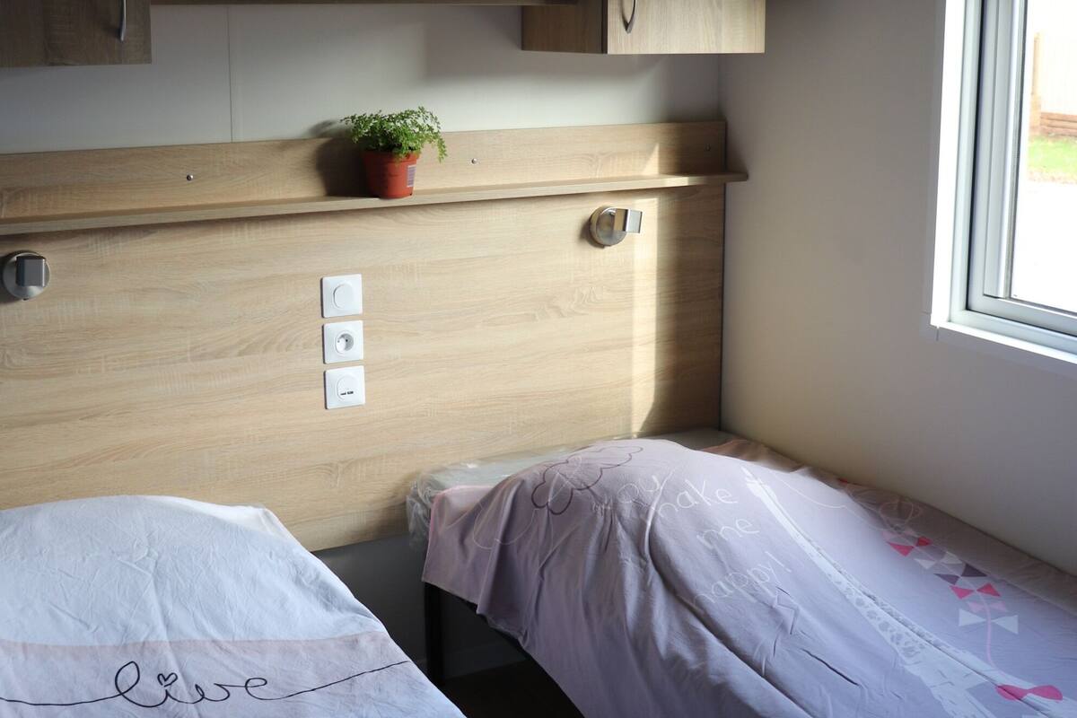 Un dormitorio con dos camas individuales, cabecera de madera, una planta pequeña en maceta y una ventana con vistas.
