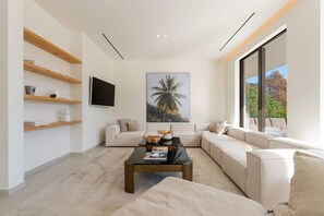 TV, fireplace, video games, books