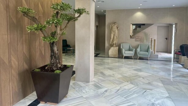 Eine Lobby mit einer großen Kübelpflanze, Marmorböden und einer Statue.