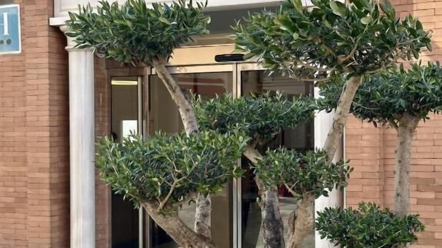 Hotel Nova Roma