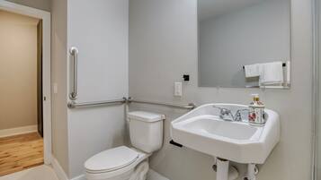 A bathroom with a toilet, a sink, a mirror, and a handrail.