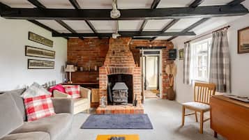 TV, fireplace, DVD player, books