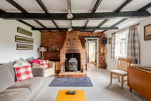 Télévision, cheminée, lecteur de DVD, livres