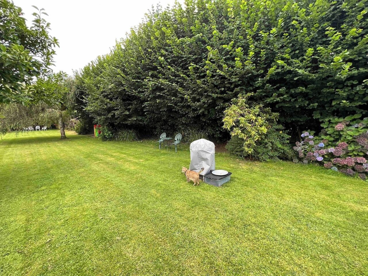 A well-maintained garden with a lawn, a covered outdoor seating area, and a hedge in the background.