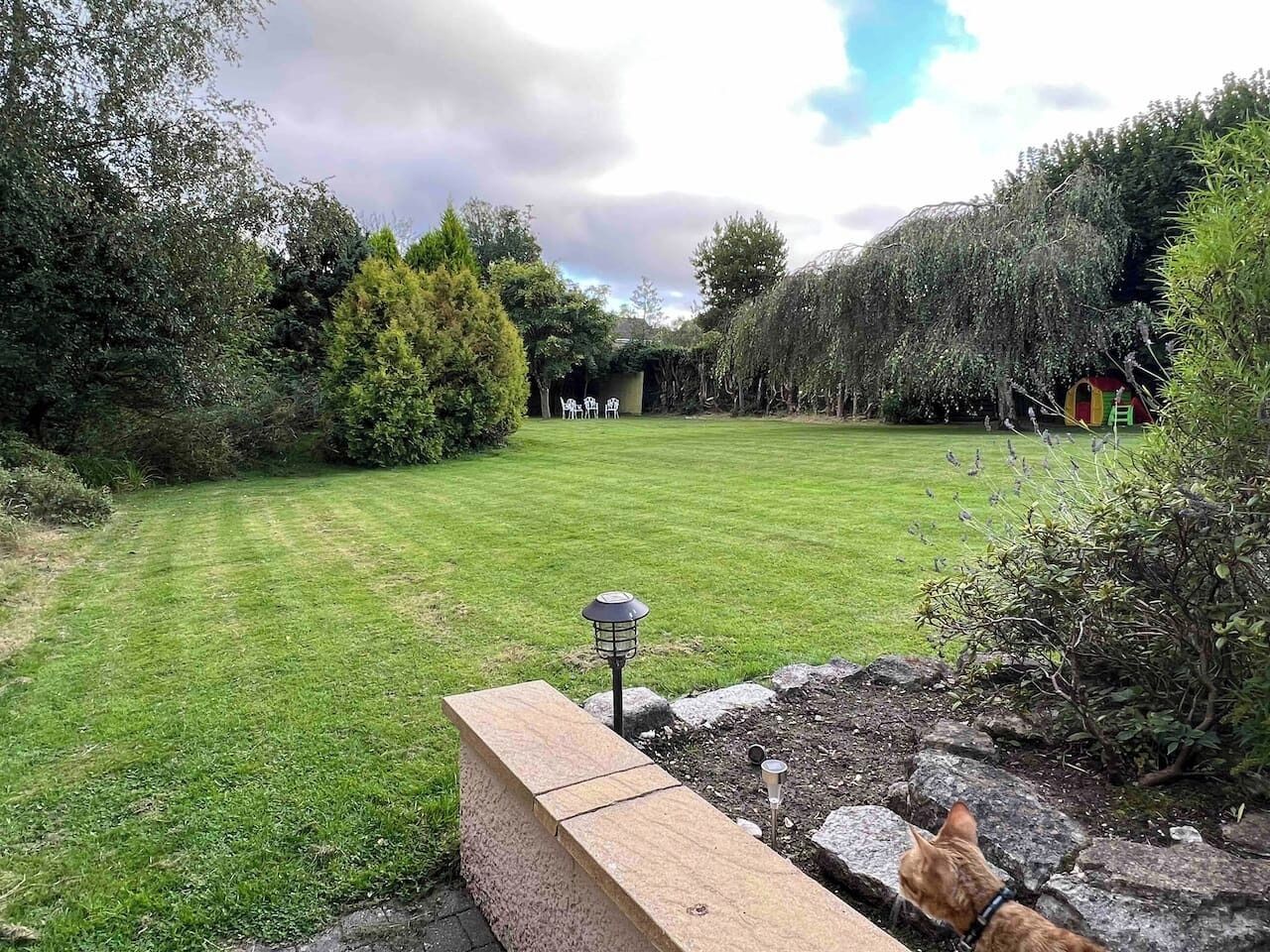 A well-maintained lawn with a stone border, a garden lamp post, and a small shed in the background.