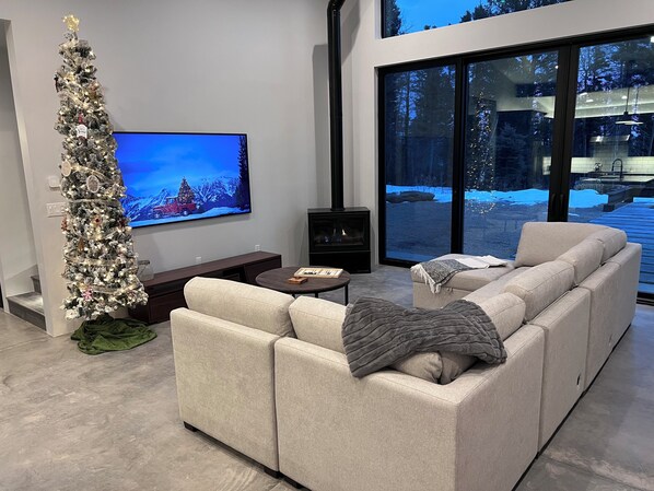 Smart TV, fireplace, books, stereo