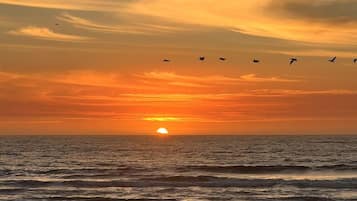 Playa en los alrededores, camastros y toallas de playa