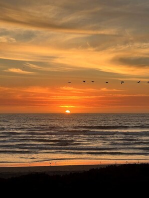 Beach nearby, sun-loungers, beach towels
