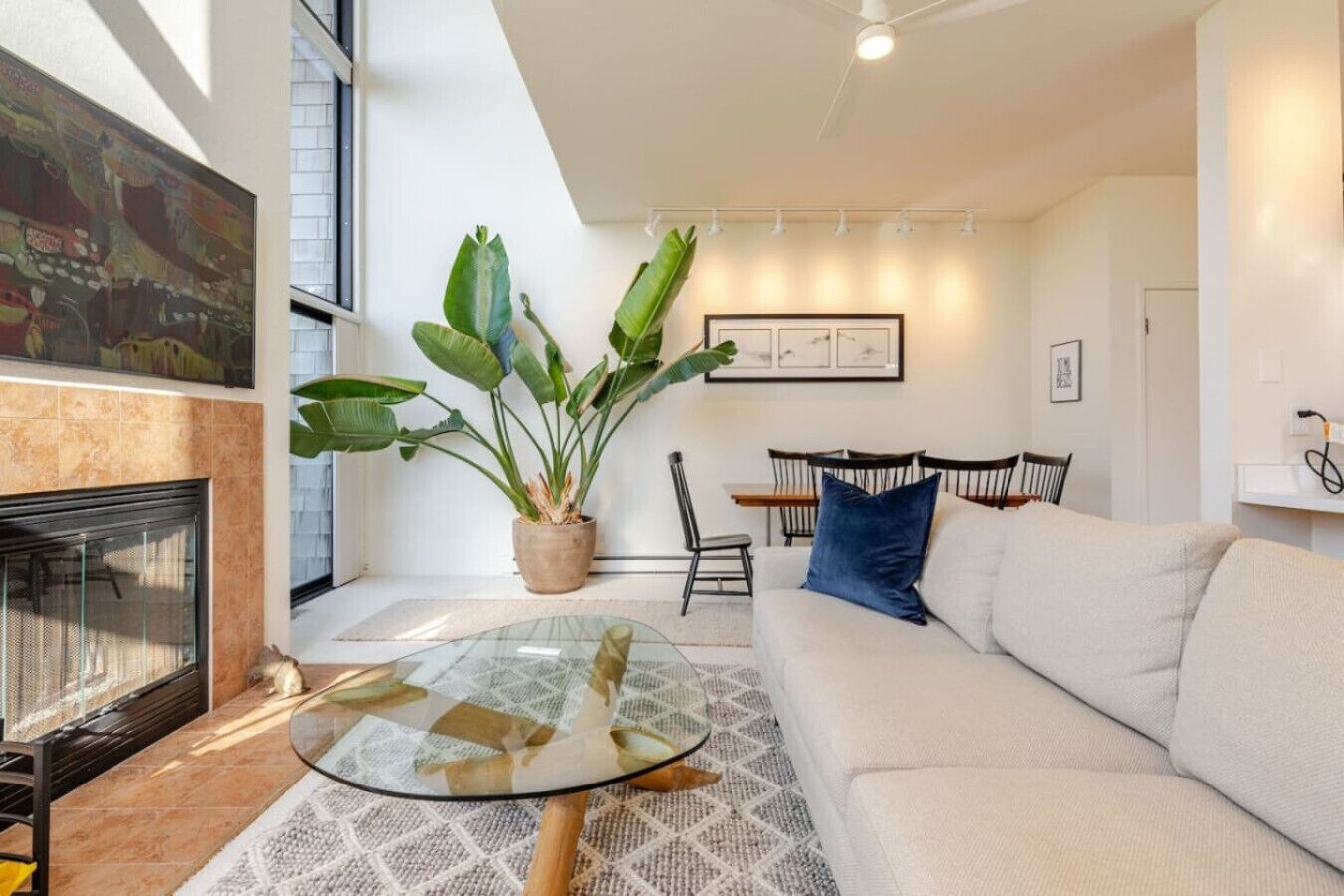 Smart TV, fireplace, ping pong, books