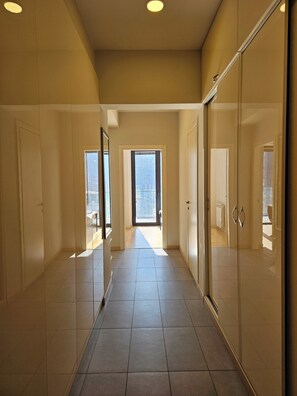 Interior entrance - Archi chavchavadze one bedroom  (Tbilisi)