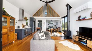 TV, fireplace, books
