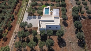 Vista aérea de una casa moderna con piscina, rodeada de olivos y un camino de tierra.