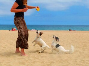 On the beach, sun loungers, beach towels