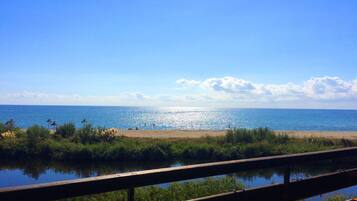 Une plage offrant une vue dégagée sur la mer, avec une rambarde en bois et quelques plantes au premier plan.