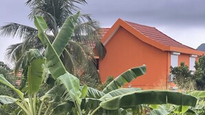 A garden with banana trees and a red building in the background.