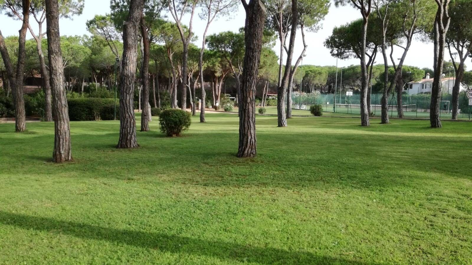 A park with a well-maintained lawn and several trees.
