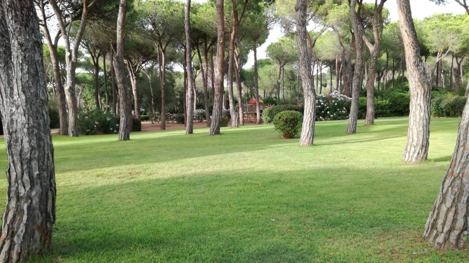 Overnattingsstedets uteområder