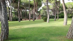 A park with tall trees and a well-maintained lawn.