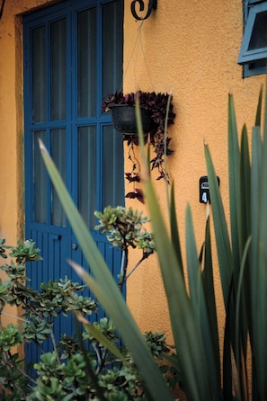 Detalle del exterior