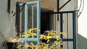 A building with a blue door, a window with a metal grill, and a hanging planter with plants.
