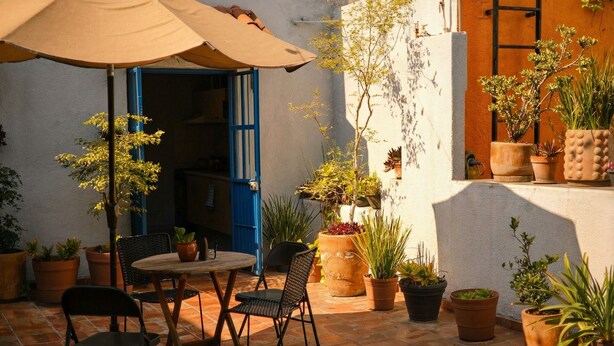 Een terras buiten met een tafel en stoelen, omringd door potplanten en een blauwe deur.