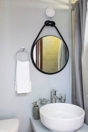 Shower, towels, toilet paper