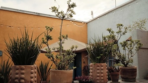 Un pati amb plantes en testos i una guirnalda de llums.