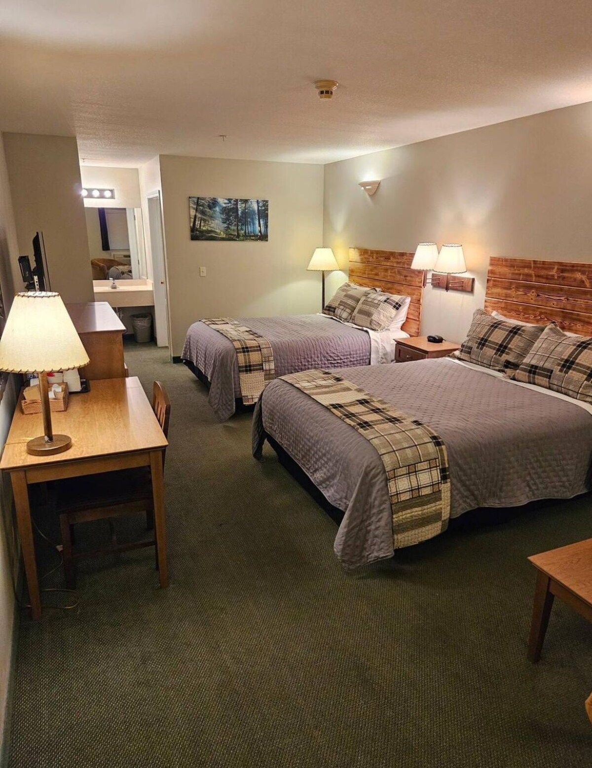 Image de profil de l’hôte