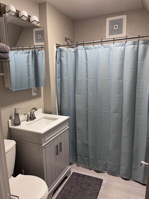 A bathroom with a white sink, a mirror, a shower curtain, and a toilet. - The Hudson Carriage Townhouse (Eau Claire)