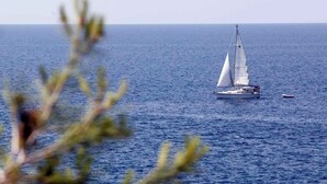 Ein Segelboot auf ruhiger See mit klarem Horizont.