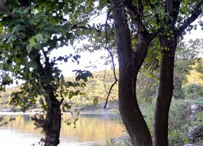 A serene lakeside scene with trees and a calm body of water.