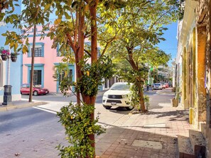 Overnattingsstedets uteområder