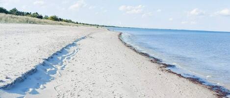 独立别墅 | 水景