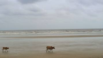Di pantai dan pasir putih