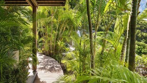 Un sendero de madera rodeado de exuberante vegetación tropical.