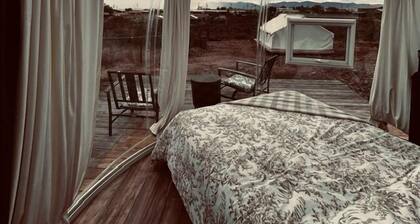 Silver Spur Sky View Dome