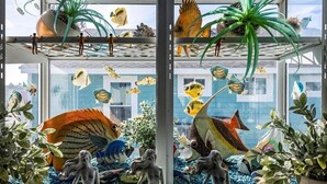 星評価なしの画像、2 / 61、ボタン