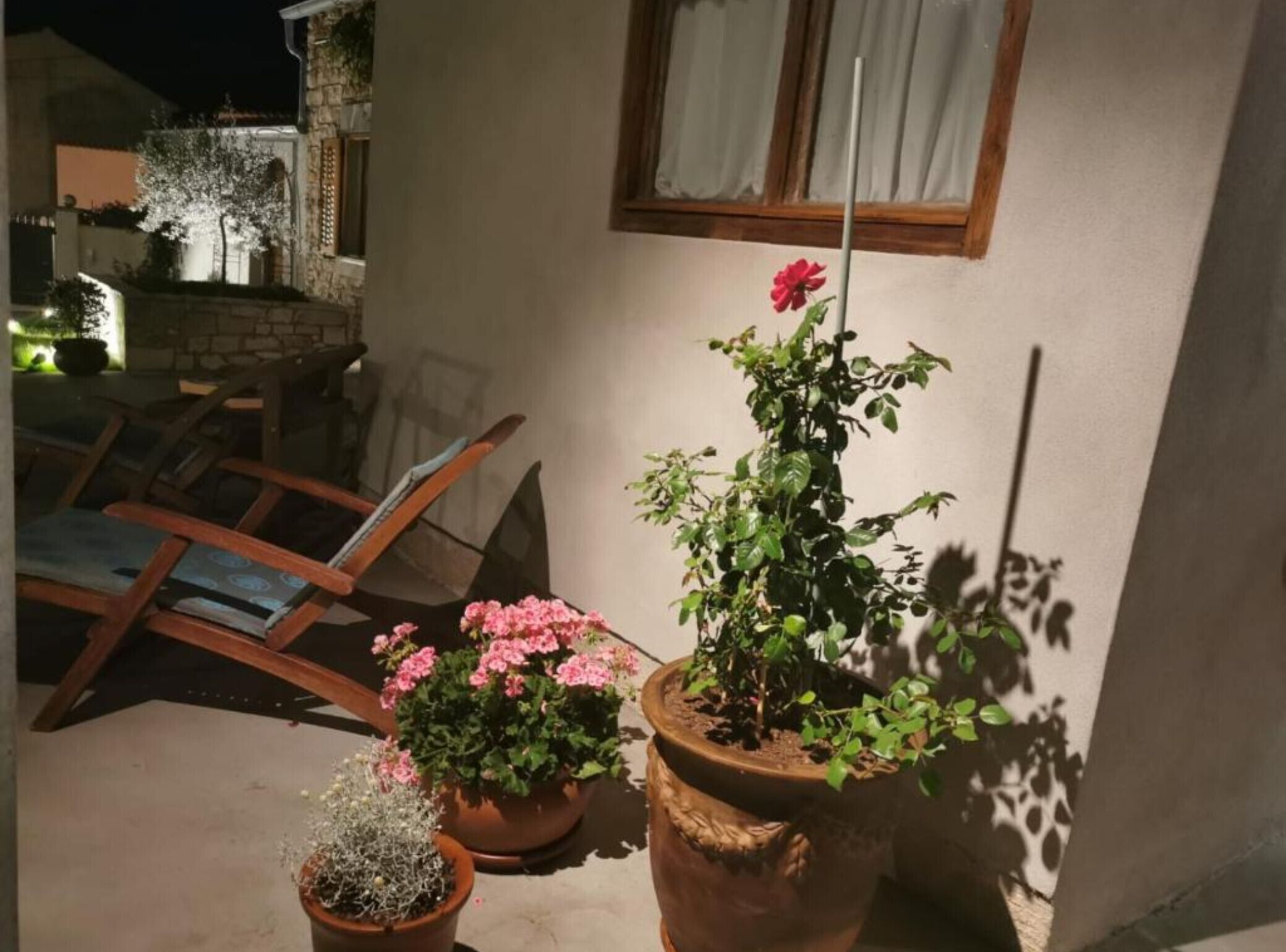 A patio with a stone wall, a wooden chair, and potted plants including a rose bush.