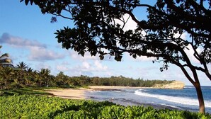 A beach with palm trees, a sandy shore, and a view of the ocean.