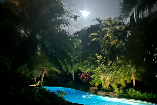 Piscine chauffée